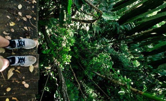 Jungle parc Mallorca Crea Hoteles Jungle parc Mallorca Crea Hoteles